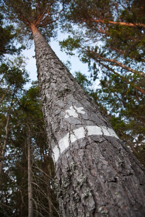 Välkommen till Hur hittar vi nya lösningar på gamla