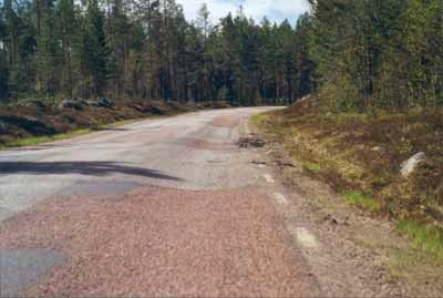 Kapitel 4. Användning av standardnivåer för vägtillståndet Page 21 4.