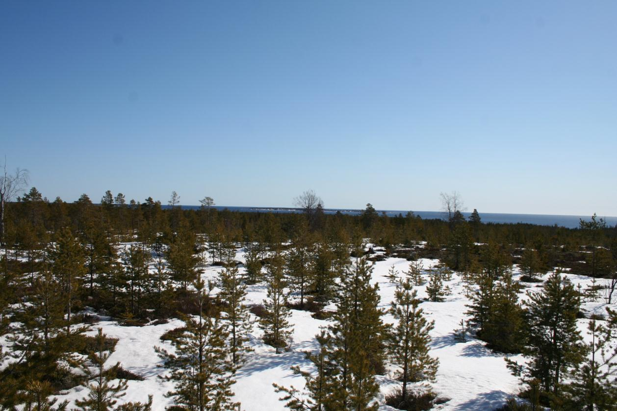 Kontrollprogram för sträckande fåglar vid Granberget, Sikeå