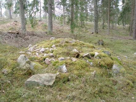 Figur 43. På bilden syns ett kvarstående, mindre parti av en sumpskog i den västra delen av området (delområde S16). Biotopen har till stor del avverkats och planterats med gran. Foto: Leif Björkman.