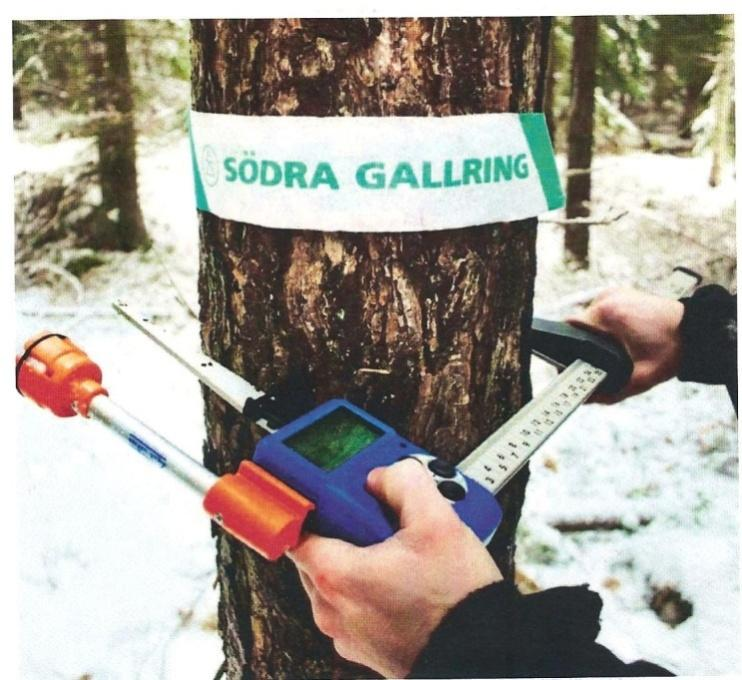 SKOGSMÄSTARPROGRAMMET Examensarbete 2009:19 Analys av linjetaxering i samband med gallringsinventering med avseende på kvalitet, tillförlitlighet och framtida utformning Analysis of strip surveying