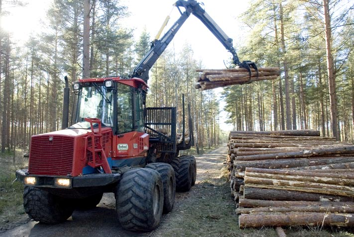 Valmet 350, som sitter på företagets båda Valmetskördare klarar allt från tidig gallring till slutavverkning.