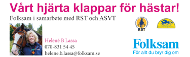 KVALLOPP KVALTIDER VARMBLOD.8,0 - -åriga.5,0-3-åriga.3,0-4-åriga & äldre.3,0 - montékval KVALTIDER KALLBLOD.55,0- -åriga.50,0-3-åriga.4,0-4-åriga & äldre.45,0 - montékval PREMIETIDER Varmblod -åriga.