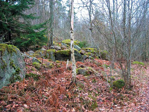 Fig. 4. Jordkällaren vid backstugan Hummelkärrsbacke, objekt 8. Foto: Wivianne Bondesson. Fig. 5. Stenmuren vid backstugan Hummelkärrsbacke, objekt 9.