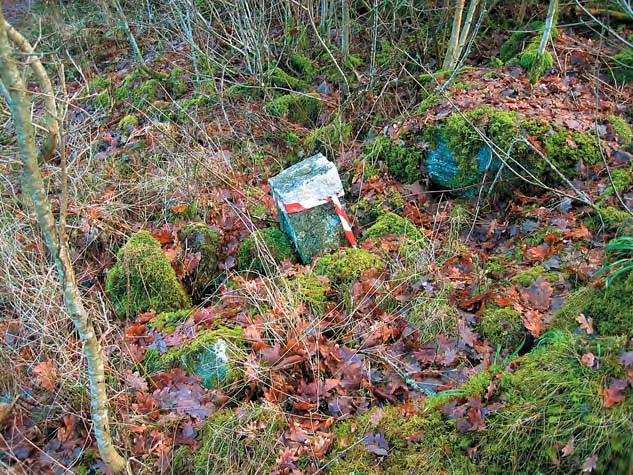 Fig. 7. Möjlig husgrund efter torpet Hummelvret. Foto: Wivianne Bondesson. Fig. 8. Gränsmärket RAÄ 212.
