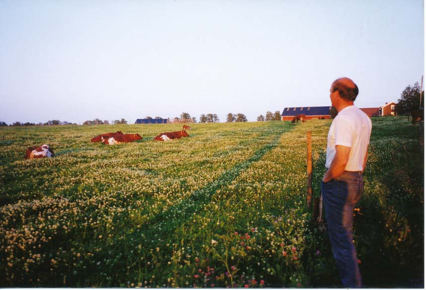 Skördesystem i vall, skördens storlek och foderkvalitet Harvest systems in leys, quality and size of the harvest Britta Nilsson Foto: Britta Nilsson