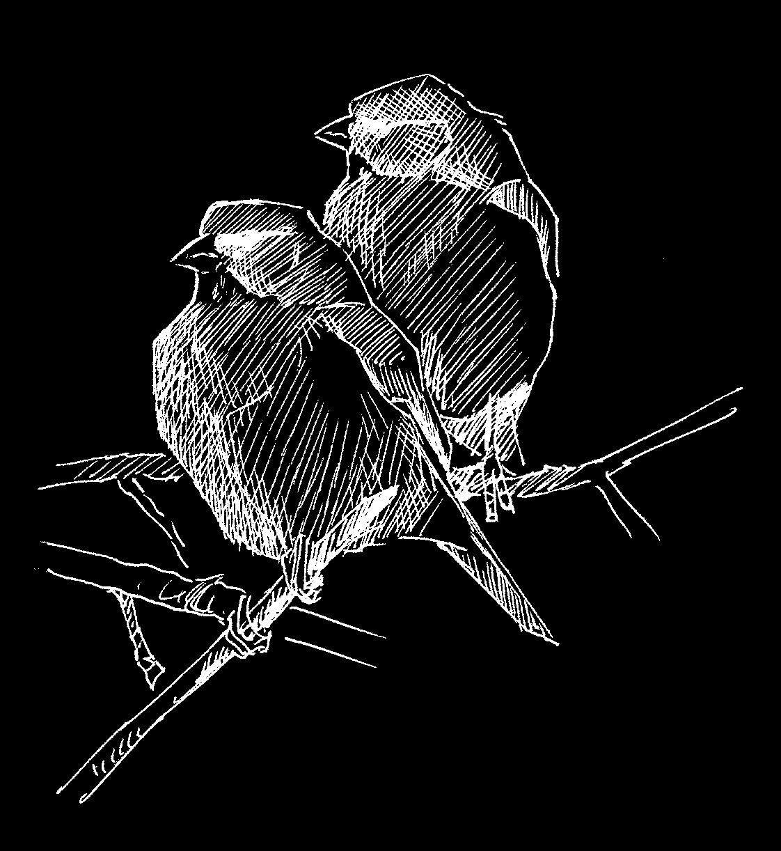 område 10 fått benämningen 17. I inventeringen deltog 19 ornitologer. Varje delområde besöktes 5 17 gånger (genomsnitt ca 8 gånger/område).