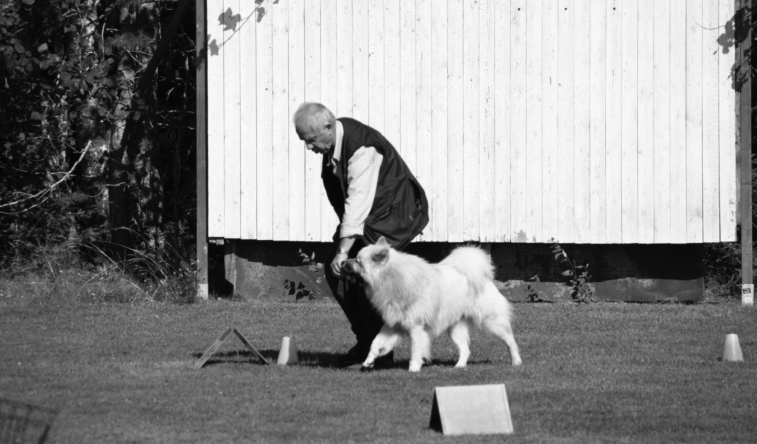 Att ha god kontakt med sin hund är A och O i rallylydnad då varje avvikelse från föraren för att nosa på något eller som i nybörjarklassen dra så att kopplet blir sträckt ger poängavdrag.