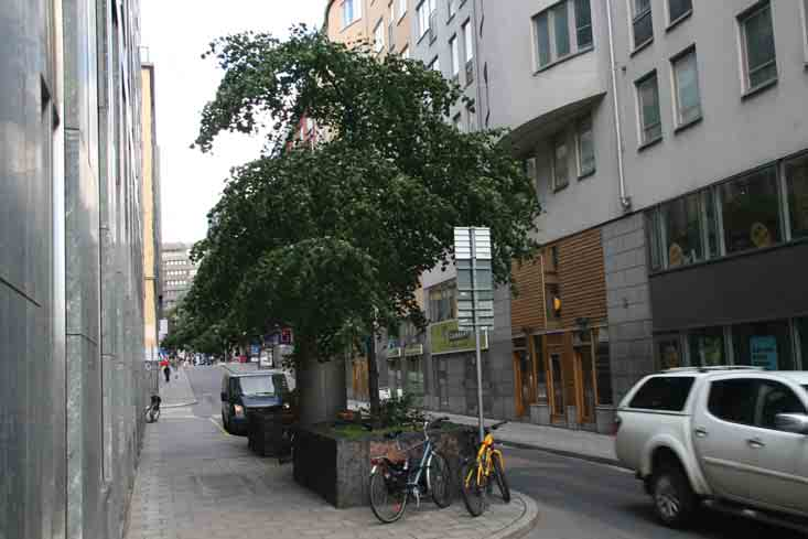 Sveavägen - vid Sergelstorg Historik De första uppgifterna om trädplantering längs Sveavägen är från 1915 då almar planterades vid Kungstensgatan.