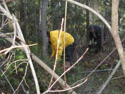 Vi wookar i skogen Skulle vi finna någon svamp för att wooka? Ja det var naturligtvis den frågan när styrelsen satte rubriken under våren. Men vi lyckades.