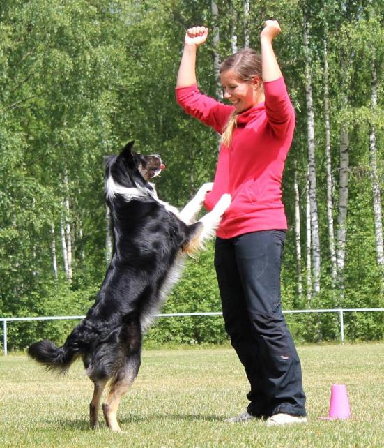 Louise Jonsson For The Win Snipe Snipe Tävlar för klubb: Hammarö BK Jag tror att både jag och Snipe ser mer eller mindre tjusning i all moment, fast allra högst på listan för Snipe ligger fart- och