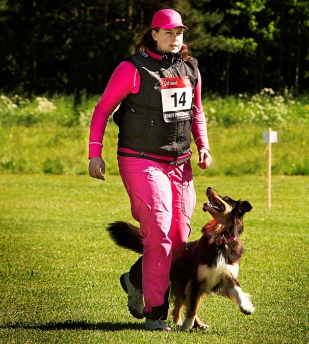 Spetsgruppen Mia Oskarson MiVinna's Auralux - Lyxa (australian shepherd) Tävlar för klubb: Alingsås BHK I skrivande stund är det fotgåendet.