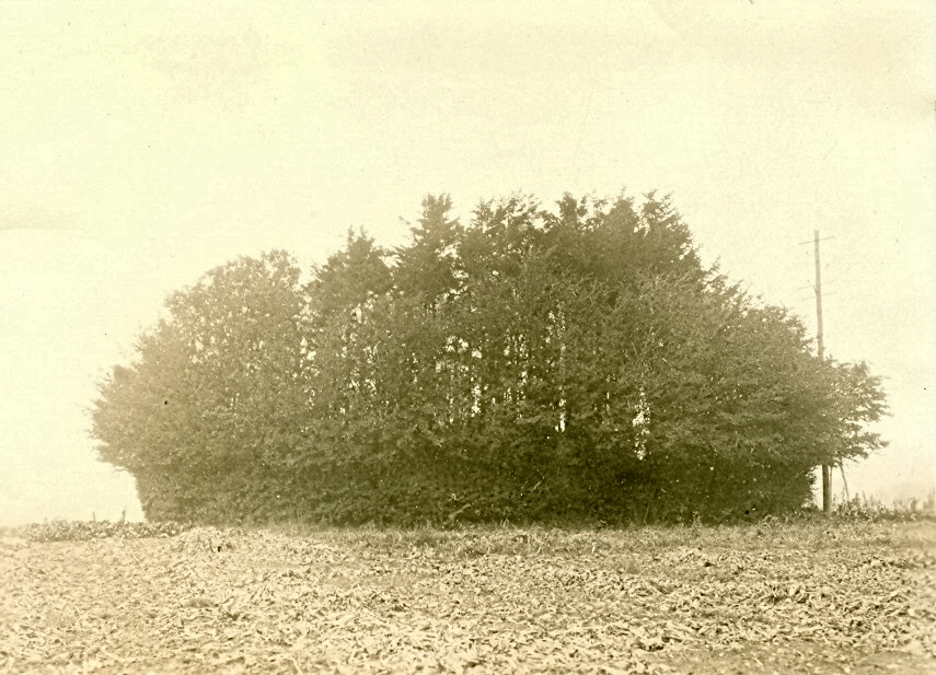 HAMMENS HÖG Hammens hög (RAÄ 1) är en gravhög som ligger på Hammenhög nr 35 strax norr om byn, väster om vägen mot Smedstorp. Högen är runt 30 meter i diameter och 5 meter hög.