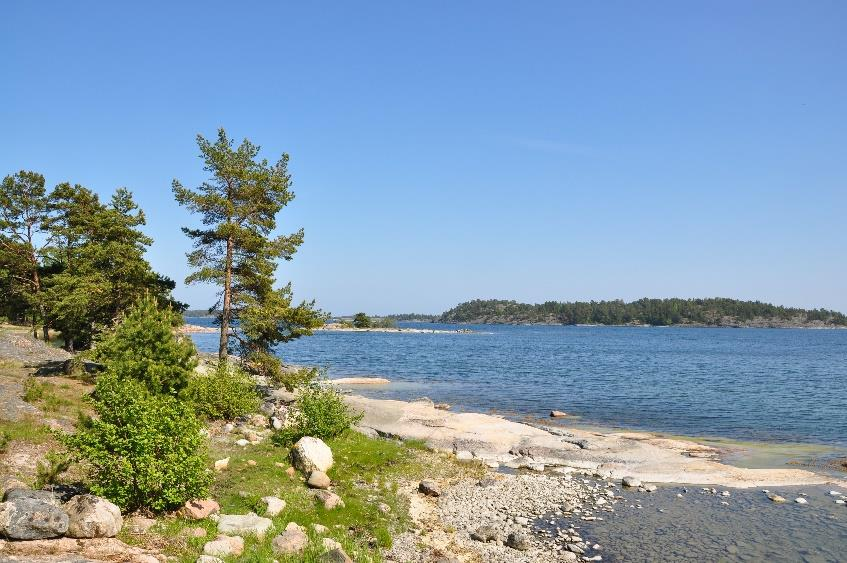 Ordförande har ordet Hej du glade SPF-are! Sommaren har i det närmaste passerat och en ny spännande SPF-höst står för dörren.