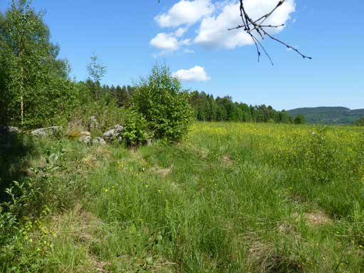 Norra Herrenäs, Bengtsfors kn Lokalen är en del av jordbrukslandskapet kring byn Norra Herrenäs som i övrigt är omgivet av skogslandskap.