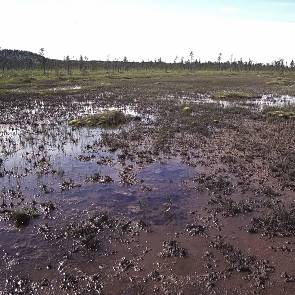 1009254 Eldsjömyran & Flakamyran (AC24) Kommun Myrregion Totalareal Dorotea G 2 099ha Areal land varav myr Areal vatten Areal skogsmark ovan fj.gräns Areal skogsmark ned. fj.gräns varav prod.