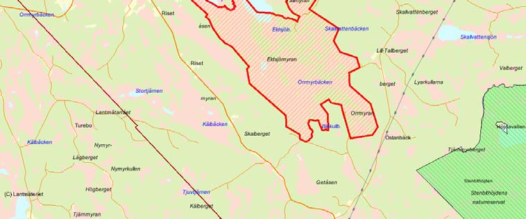 Länsstyrelsens bedömning Eldsjömyran och Flakamyran är ett stort och mångformigt myrkomplex med för regionen representativa myrtyper.