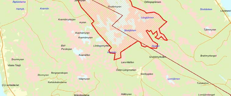 Länsstyrelsens bedömning Grubbmyrans naturvärden är knutna till områdets storlek, orördhet, de representativa blöta myrtyperna, det rika växtoch fågellivet samt den ostörda skogsmyrmosaiken.