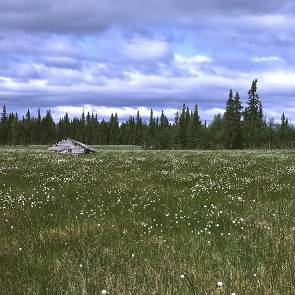 1009570 Stor-Lairomyran & Björnmyran (AC4) Kommun Myrregion Totalareal Arjeplog, Sorsele F 3 197ha Areal land varav myr Areal vatten Areal skogsmark ovan fj.gräns Areal skogsmark ned. fj.gräns varav prod.