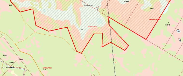 Länsstyrelsens bedömning Stormyran-Vithatten har höga naturvärden knutna till de representativa myrtyperna, områdets orördhet och den intressanta floran och faunan.