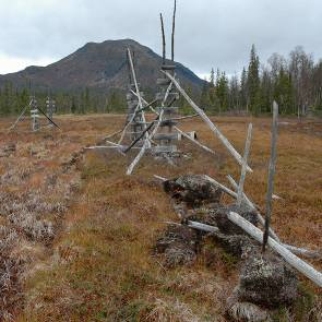 1009243 Dalsån (AC6) Kommun Myrregion Totalareal Vilhelmina F 1 861ha Areal land varav myr Areal vatten Areal skogsmark ovan fj.gräns Areal skogsmark ned. fj.gräns varav prod.
