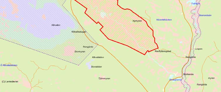 Länsstyrelsens bedömning Dalsån är länets främsta exempel på dalgångsmyrar i förfjällsregionen.