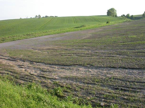 Erosion för bort mer jordmaterial än som hinner nybildas från berggrunden, globalt. Det betyder att matjorden minskar.