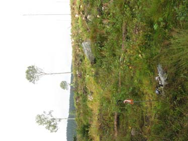 Bilaga 4.