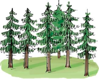 Egenskaper för bestämning trädslag stamvolym diameter stamform stamkrök stubbdiameter barktjocklek krondiameter kronvolym stubbhöjd trädhöjd krongränshöjd, torr krona krongränshöjd, grönkrona