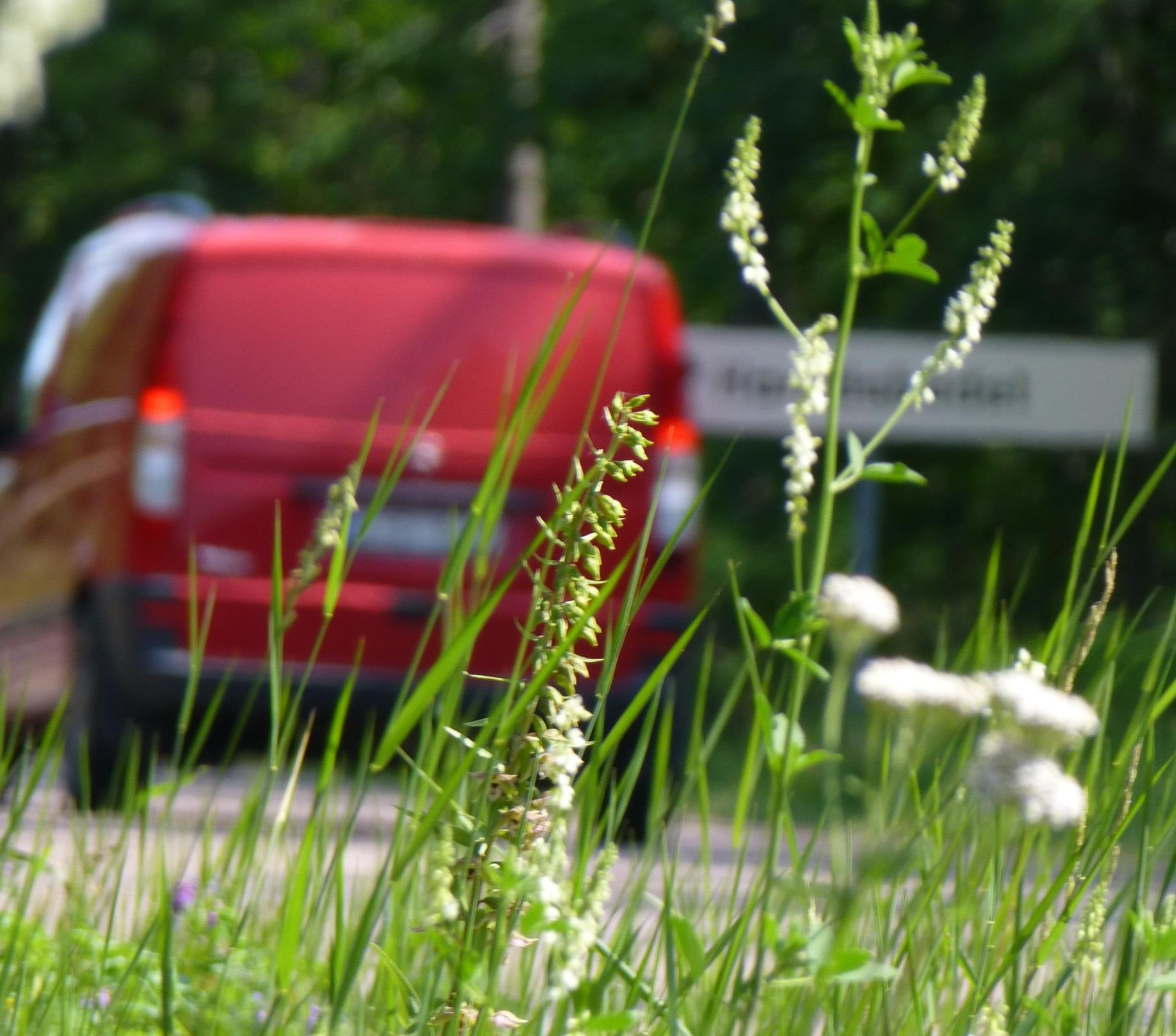 Naturvärdesinventering Väg 77 delen länsgränsen-rösa