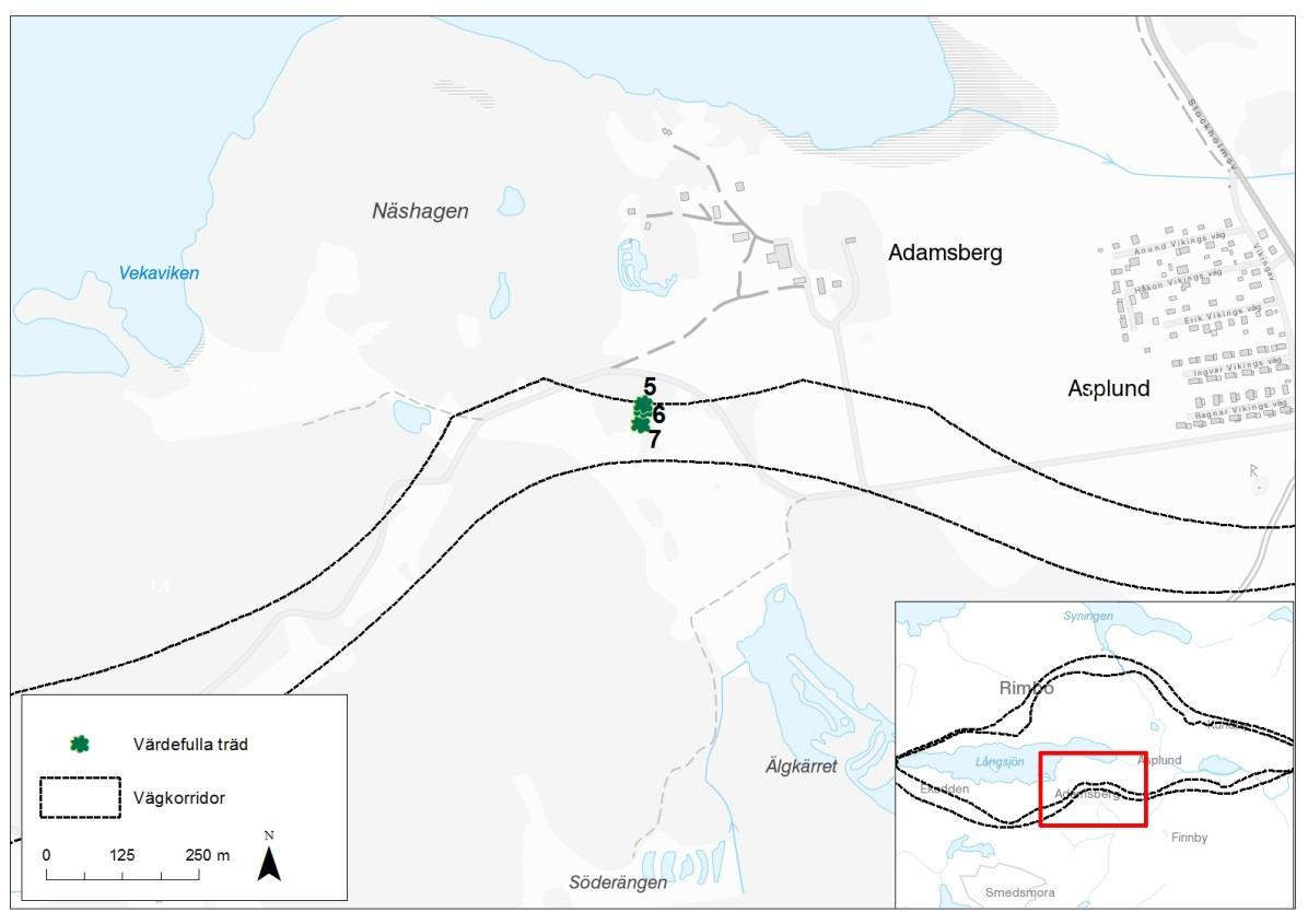Figur 4. Värdefulla träd i eller inom 10 meter frånkorridor 4.8.
