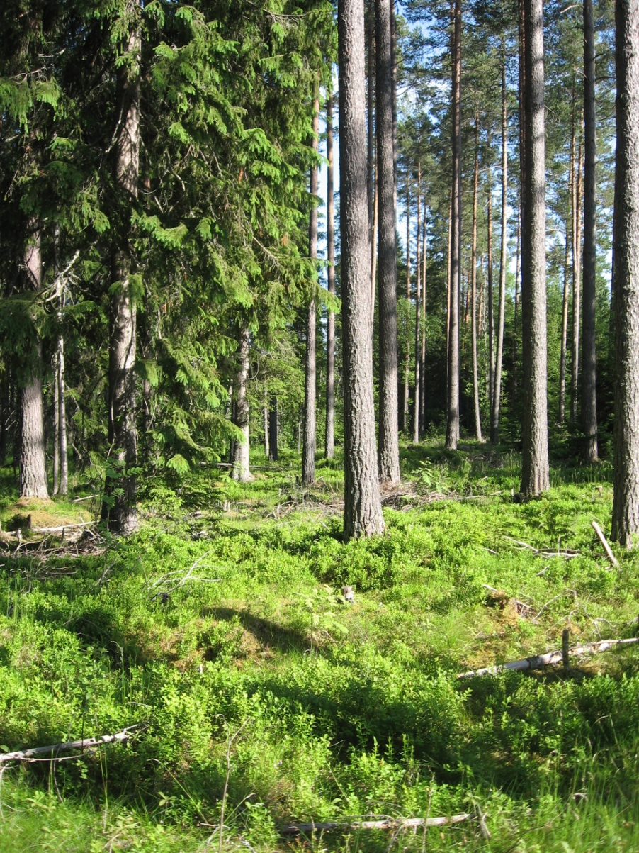 Sveriges geologiska undersökning 20(47) Figur 9.