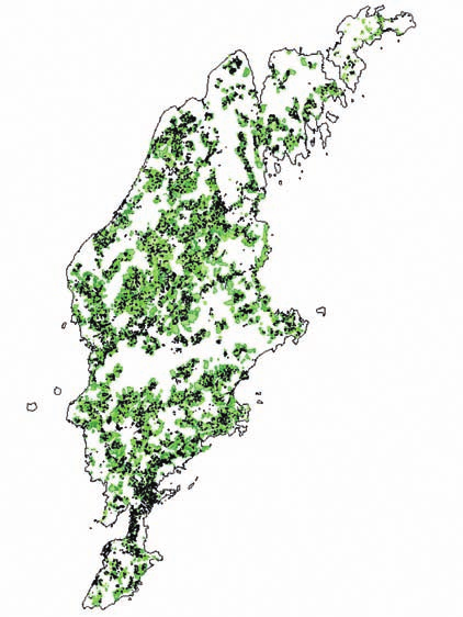 HULTENGREN m.fl. till medelålders ekar. Däremot finns det få riktigt gamla, grova ekar på Gotland.