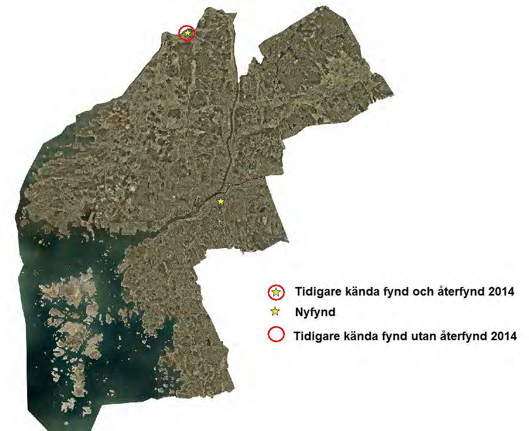 Bild 9 Fynd av skrynklig