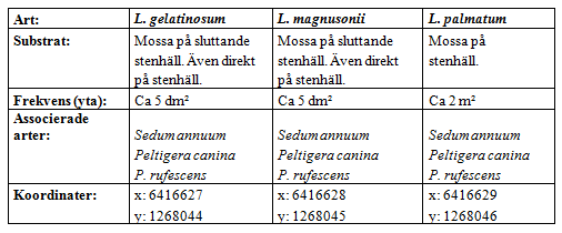 4. Gunnesby Inventeringsdatum: 2014-03-19 Områdesbeskrivning: Flacka hällar i