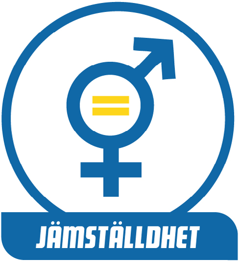 Verktyg för jämställdhetsanalys av idrottsföreningen Varför jämställdhet i idrotten?
