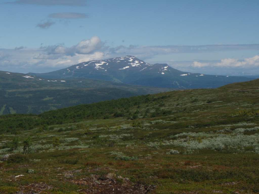 Vid 6,2 km viker banan av från leden och fortsätter upp på en nybruten, smal stig på sviktande underlag som leder vidare upp mot Skalknippen. Efter 7,2 km nås Skalknippen och Bergspris 1 på 939 m ö.h. Leden upp mot Skalknippen.