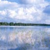 vid pumpstation Ringsjöholm för råvattenleveranser till Ringsjöverket från Bolmen, alternativt Ringsjön, har avslutats. Även reservkraft till pumpstationen i Äktaboden har färdigställts.