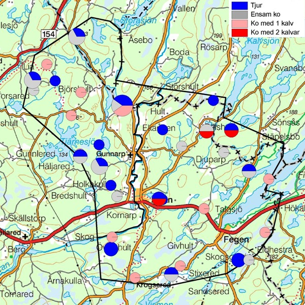 Den ojämna fördelningen av älgar i landskapet är ganska typisk för de flesta områden vi inventerat. Av kartan i figur 1 kan man se antydningar till detta.
