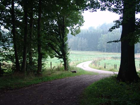 Fig. 7. Fyledalen, Skåne. Fig. 8. Fyledalen, Skåne. Fig. 9. Fyleverken, Fyledalen, Skåne. Fig. 10.