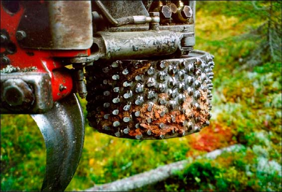 Nr 436 1999 Med dubbar av stål Kartläggning av dubbvalsarnas effekt på sågutbyte, blånadsangrepp och intryckning av bark i veden Jonas Grev Seminariearbete (5 p) på Högskolan Dalarna (Skog &