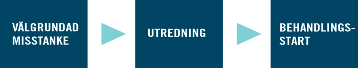 Granskning av jämlik cancervård För prostatacancer har ett standardiserat vårdförlopp tagits fram som en del i den nationella satsningen, se bilaga 1 för mer detaljerad information.