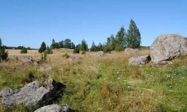 Effekter och konsekvenser Naturmiljö 8. Alléer, åkerholmar och småvatten vid Ingarud 9. Barrblandskogar i Västermarken 10. Ängs- och betesmarker vid Shell och Björkelund 11.