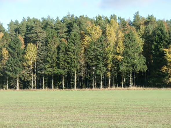 Ravinlandskap med meanderande vattendrag och lövträd Vattendragen har eroderat ner genom jordlagren och bildat ett ravinlandskap.