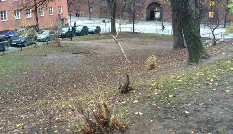 NULÄGESBESKRIVNING Både elever och lärare tycker att baksidan av skolan är väldigt tråkig idag.