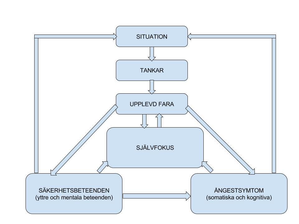 socialt objekt och försöker att se sig själv utifrån. Den kritiska granskningen tillsammans med uppfattningen att fara föreligger framkallar fysiska ångestsymtom såsom hjärtklappning och svettningar.