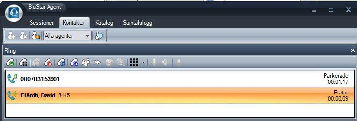 Då får du en ny symbol framför det inringande numret, och statusen ändras ute till höger. Gå till fliken Katalog, där söker du fram personen genom att sätta markören i fältet Katalog.