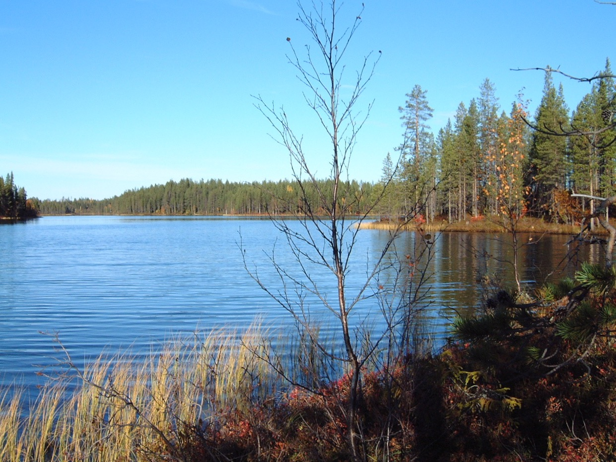 Institutionen för vatten och miljö Underlag till bedömningsgrunder för kväve i sjöar