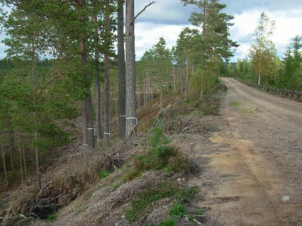 19. Utsikten vid Flatan Det finns många vackra utsiktsplatser uppe på Hökensås och en av de mäktigaste finns på vägen mellan Flatan och Munkaskog Nolgården.