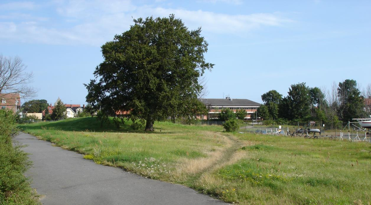 PLANERINGSFÖRUTSÄTTNINGAR Mark och vegetation Inom planområdet består marken i norr av ett grönområde med ett par större solitärträd samt en kulle.